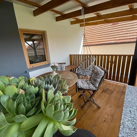 Apartman Mara Mala Subotica 외부 사진