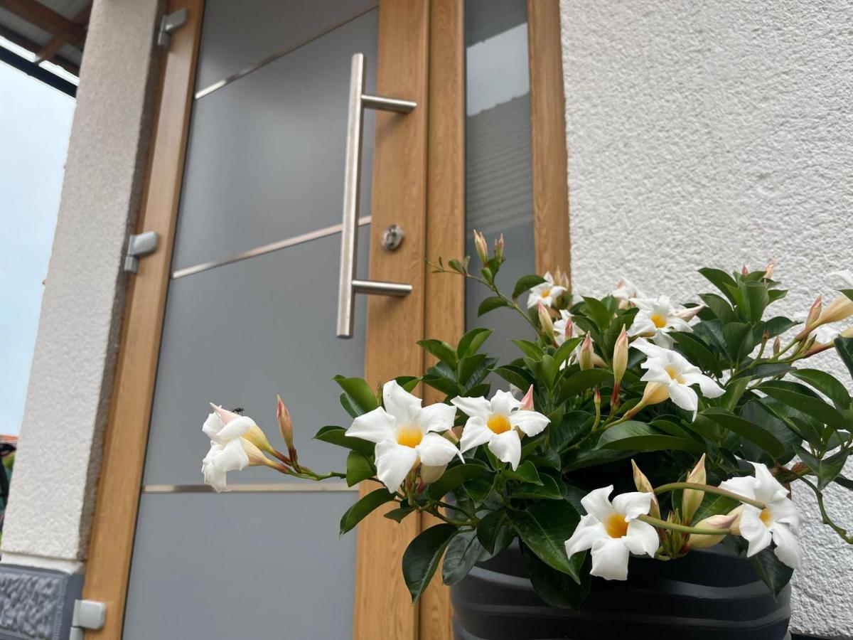 Apartman Mara Mala Subotica 외부 사진